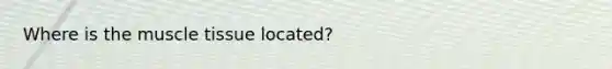 Where is the <a href='https://www.questionai.com/knowledge/kMDq0yZc0j-muscle-tissue' class='anchor-knowledge'>muscle tissue</a> located?