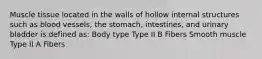 Muscle tissue located in the walls of hollow internal structures such as blood vessels, the stomach, intestines, and urinary bladder is defined as: Body type Type II B Fibers Smooth muscle Type II A Fibers