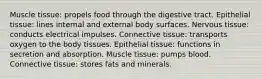 Muscle tissue: propels food through the digestive tract. Epithelial tissue: lines internal and external body surfaces. Nervous tissue: conducts electrical impulses. Connective tissue: transports oxygen to the body tissues. Epithelial tissue: functions in secretion and absorption. Muscle tissue: pumps blood. Connective tissue: stores fats and minerals.