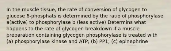 In the muscle tissue, the rate of conversion of glycogen to glucose 6-phosphats is determined by the ratio of phosphorylase a(active) to phosphorylase b (less active) Determins what happens to the rate of glycogen breakdown if a muscle preparation containing glycogen phosphorylase is treated with (a) phosphorylase kinase and ATP; (b) PP1; (c) epinephrine