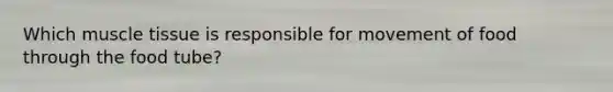 Which muscle tissue is responsible for movement of food through the food tube?