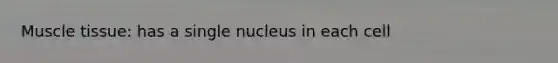 Muscle tissue: has a single nucleus in each cell