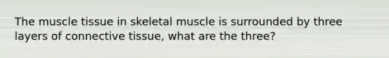 The muscle tissue in skeletal muscle is surrounded by three layers of connective tissue, what are the three?