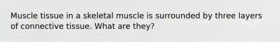 Muscle tissue in a skeletal muscle is surrounded by three layers of connective tissue. What are they?