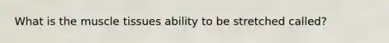 What is the muscle tissues ability to be stretched called?