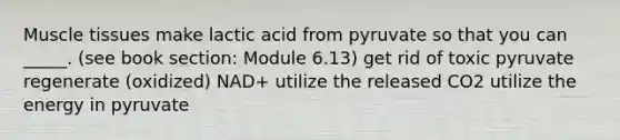 Muscle tissues make lactic acid from pyruvate so that you can _____. (see book section: Module 6.13) get rid of toxic pyruvate regenerate (oxidized) NAD+ utilize the released CO2 utilize the energy in pyruvate