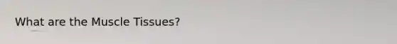 What are the <a href='https://www.questionai.com/knowledge/kMDq0yZc0j-muscle-tissue' class='anchor-knowledge'>muscle tissue</a>s?