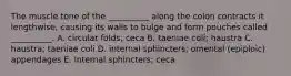 The muscle tone of the __________ along the colon contracts it lengthwise, causing its walls to bulge and form pouches called __________. A. circular folds; ceca B. taeniae coli; haustra C. haustra; taeniae coli D. internal sphincters; omental (epiploic) appendages E. internal sphincters; ceca