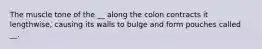 The muscle tone of the __ along the colon contracts it lengthwise, causing its walls to bulge and form pouches called __.