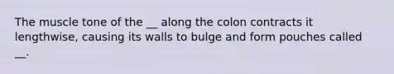 The muscle tone of the __ along the colon contracts it lengthwise, causing its walls to bulge and form pouches called __.