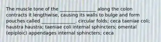 The muscle tone of the ________________ along the colon contracts it lengthwise, causing its walls to bulge and form pouches called _______________. circular folds; ceca taeniae coli; haustra haustra; taeniae coli internal sphincters; omental (epiploic) appendages internal sphincters; ceca