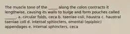 The muscle tone of the _____ along the colon contracts it lengthwise, causing its walls to bulge and form pouches called ______. a. circular folds, ceca b. taeniae coli, haustra c. haustral taeniae coli d. internal sphincters, omental (epiploic) appendages e. internal sphincters, ceca