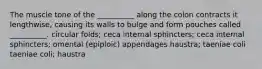 The muscle tone of the __________ along the colon contracts it lengthwise, causing its walls to bulge and form pouches called __________. circular folds; ceca internal sphincters; ceca internal sphincters; omental (epiploic) appendages haustra; taeniae coli taeniae coli; haustra