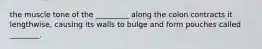 the muscle tone of the _________ along the colon contracts it lengthwise, causing its walls to bulge and form pouches called ________.