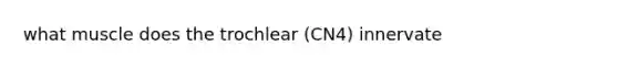 what muscle does the trochlear (CN4) innervate