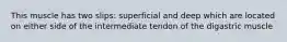 This muscle has two slips: superficial and deep which are located on either side of the intermediate tendon of the digastric muscle