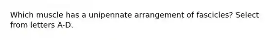 Which muscle has a unipennate arrangement of fascicles? Select from letters A-D.