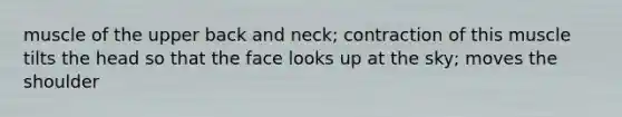 muscle of the upper back and neck; contraction of this muscle tilts the head so that the face looks up at the sky; moves the shoulder