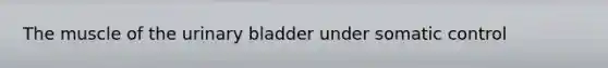 The muscle of the urinary bladder under somatic control