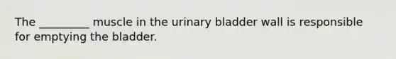 The _________ muscle in the urinary bladder wall is responsible for emptying the bladder.