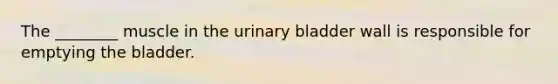 The ________ muscle in the <a href='https://www.questionai.com/knowledge/kb9SdfFdD9-urinary-bladder' class='anchor-knowledge'>urinary bladder</a> wall is responsible for emptying the bladder.