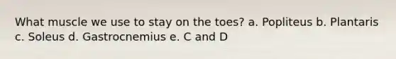 What muscle we use to stay on the toes? a. Popliteus b. Plantaris c. Soleus d. Gastrocnemius e. C and D
