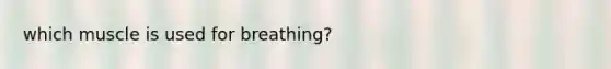 which muscle is used for breathing?