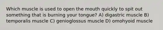 Which muscle is used to open the mouth quickly to spit out something that is burning your tongue? A) digastric muscle B) temporalis muscle C) genioglossus muscle D) omohyoid muscle