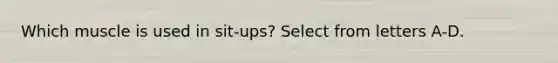 Which muscle is used in sit-ups? Select from letters A-D.