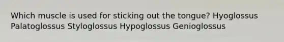 Which muscle is used for sticking out the tongue? Hyoglossus Palatoglossus Styloglossus Hypoglossus Genioglossus