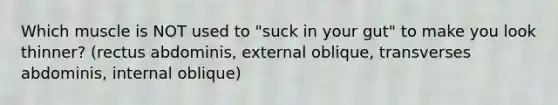 Which muscle is NOT used to "suck in your gut" to make you look thinner? (rectus abdominis, external oblique, transverses abdominis, internal oblique)