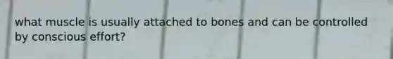what muscle is usually attached to bones and can be controlled by conscious effort?