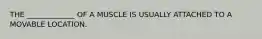 THE _____________ OF A MUSCLE IS USUALLY ATTACHED TO A MOVABLE LOCATION.