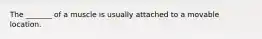 The _______ of a muscle is usually attached to a movable location.