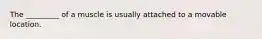 The _________ of a muscle is usually attached to a movable location.