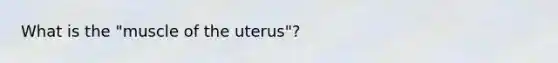 What is the "muscle of the uterus"?