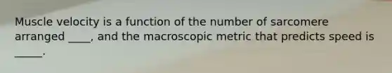 Muscle velocity is a function of the number of sarcomere arranged ____, and the macroscopic metric that predicts speed is _____.