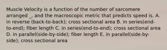 Muscle Velocity is a function of the number of sarcomere arranged _, and the macroscopic metric that predicts speed is. A. in reverse (back-to-back); cross sectional area B. in series(end-to-end); fiber length C. in series(end-to-end); cross sectional area D. in parallel(side-by-side); fiber length E. in parallel(side-by-side); cross sectional area