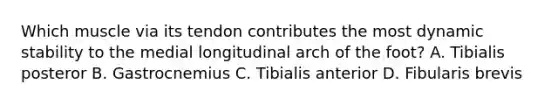 Which muscle via its tendon contributes the most dynamic stability to the medial longitudinal arch of the foot? A. Tibialis posteror B. Gastrocnemius C. Tibialis anterior D. Fibularis brevis