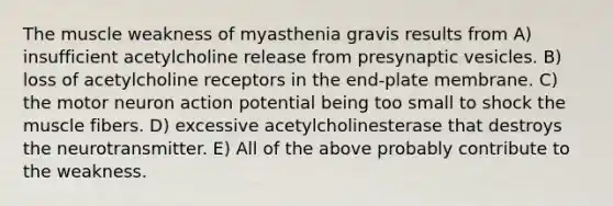 The muscle weakness of myasthenia gravis results from A) insufficient acetylcholine release from presynaptic vesicles. B) loss of acetylcholine receptors in the end-plate membrane. C) the motor neuron action potential being too small to shock the muscle fibers. D) excessive acetylcholinesterase that destroys the neurotransmitter. E) All of the above probably contribute to the weakness.