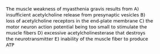 The muscle weakness of myasthenia gravis results from A) insufficient acetylcholine release from presynaptic vesicles B) loss of acetylcholine receptors in the end-plate membrane C) the motor neuron action potential being too small to stimulate the muscle fibers D) excessive acetylcholinesterase that destroys the neurotransmitter E) inability of the muscle fiber to produce ATP