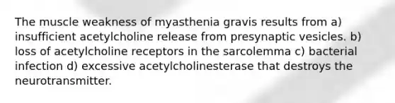 The muscle weakness of myasthenia gravis results from a) insufficient acetylcholine release from presynaptic vesicles. b) loss of acetylcholine receptors in the sarcolemma c) bacterial infection d) excessive acetylcholinesterase that destroys the neurotransmitter.