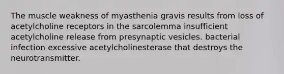 The muscle weakness of myasthenia gravis results from loss of acetylcholine receptors in the sarcolemma insufficient acetylcholine release from presynaptic vesicles. bacterial infection excessive acetylcholinesterase that destroys the neurotransmitter.