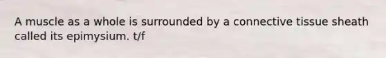 A muscle as a whole is surrounded by a connective tissue sheath called its epimysium. t/f