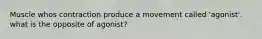 Muscle whos contraction produce a movement called 'agonist'. what is the opposite of agonist?