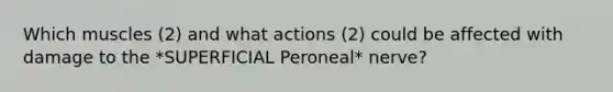 Which muscles (2) and what actions (2) could be affected with damage to the *SUPERFICIAL Peroneal* nerve?