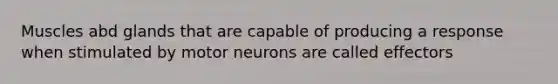 Muscles abd glands that are capable of producing a response when stimulated by motor neurons are called effectors