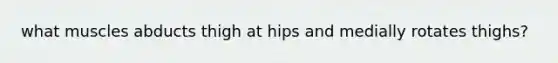 what muscles abducts thigh at hips and medially rotates thighs?