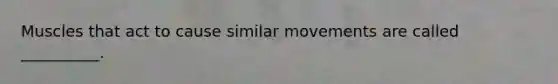 Muscles that act to cause similar movements are called __________.