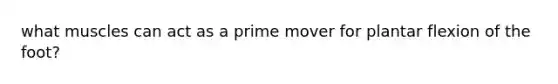 what muscles can act as a prime mover for plantar flexion of the foot?